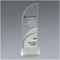 Premier 5 Plus Award - 4" x 11" with silver metal accent overlays