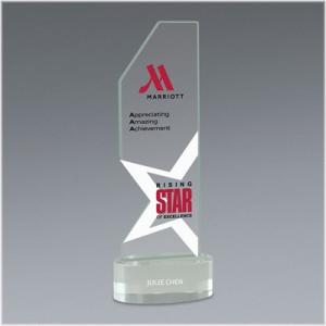 Premier 3 Standard Award - 4" x 11"
