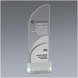 Premier 5 Plus Award - 4" x 11" with silver metal accent overlays