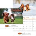 Full Colour Canine Companions Spiral Wall Calendar
