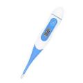 Oral Digtital Thermometer
