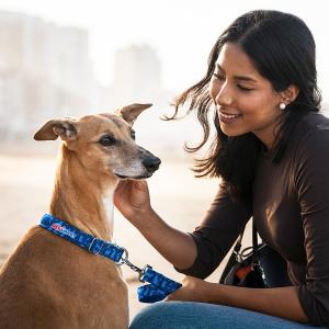 Ocean Imported Digitally Sublimated Pet Collar