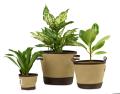 Heritage Supply™ Plant, Grow and Store Trio of Pots